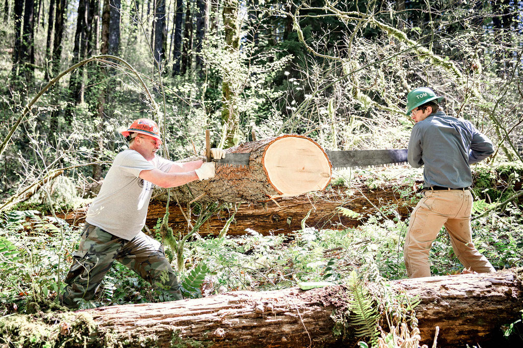 Learn to use a crosscut saw in our training program.