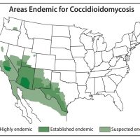 Map of the approximate areas (“endemic areas”) where Coccidioides/Valley fever is known to live or is suspected to live in the United States and Mexico. Source: cdc.gov/fungal accessed on 12/23/16