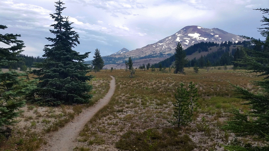 The Pacific Crest Trail in Three Sisters Wilderness, Oregon. Photo by Kevin Parisi