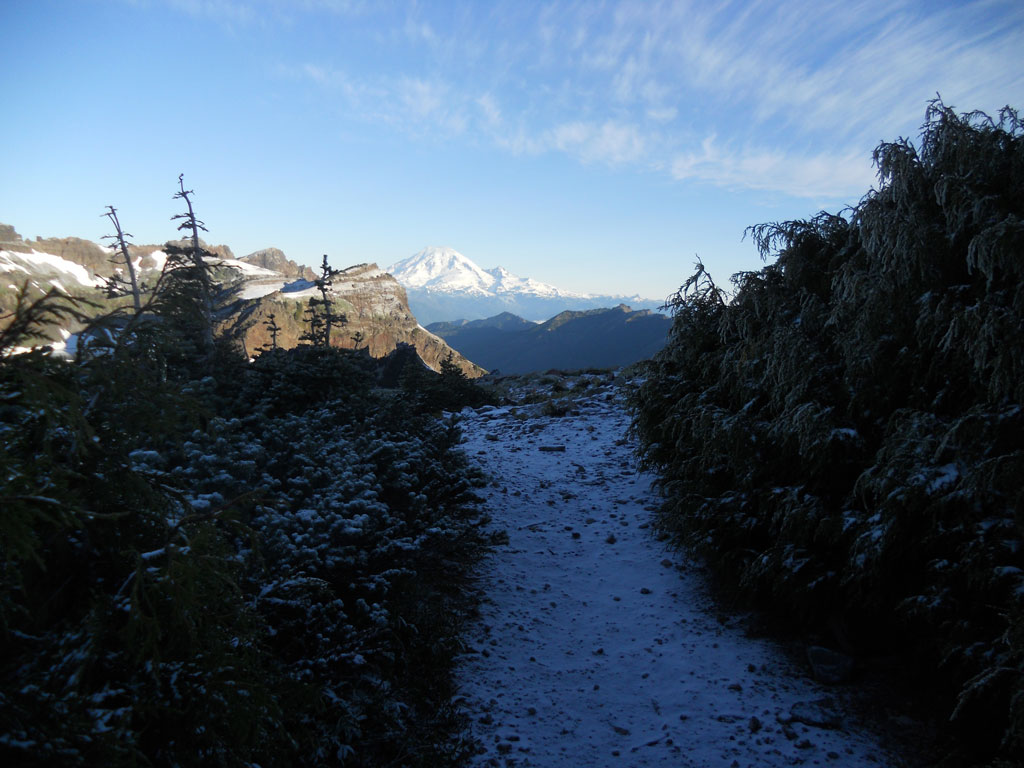 Mount Rainier from Goat Rocks.