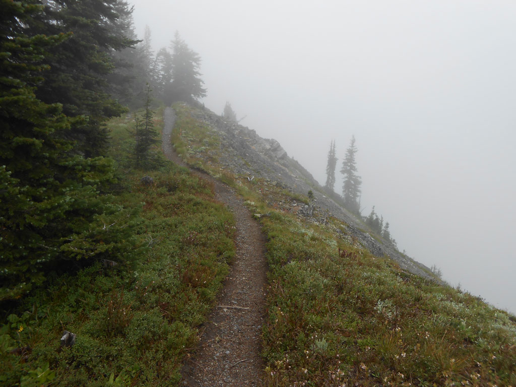 Near Glacier Pass, Washington.
