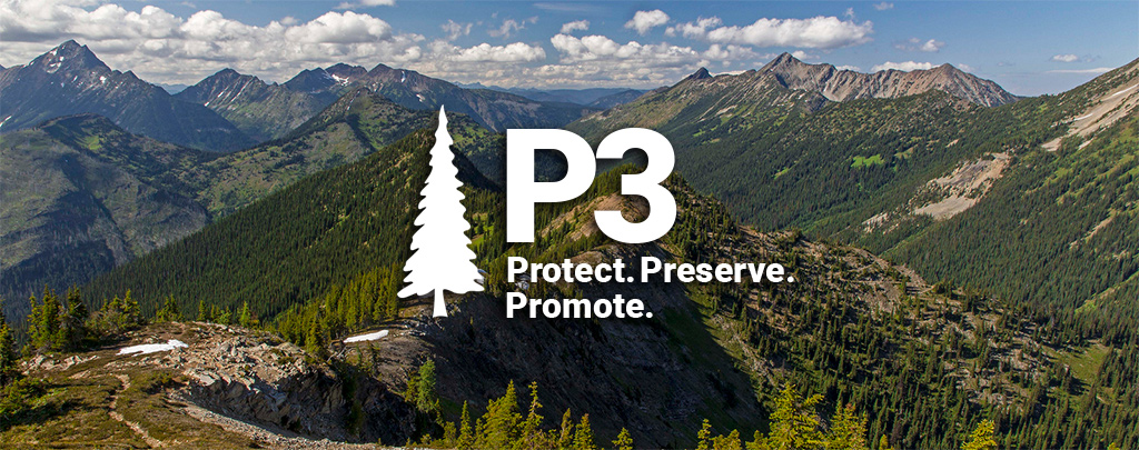 P3: Protect, Preserve, and Promote