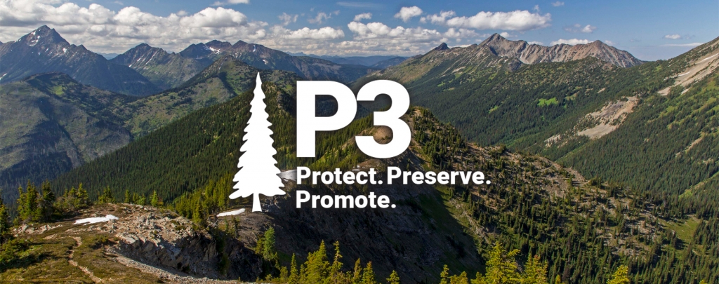 P3 - Protect Promote Preserve
