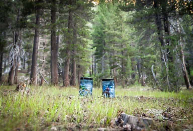 Bear canisters are now required in Lassen Volcanic National Park Pacific Crest Trail Association