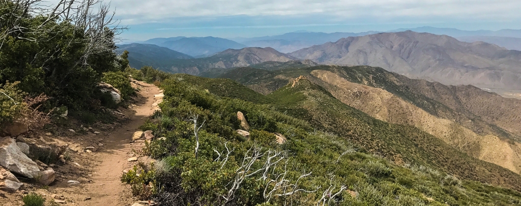 the PCT in Southern California