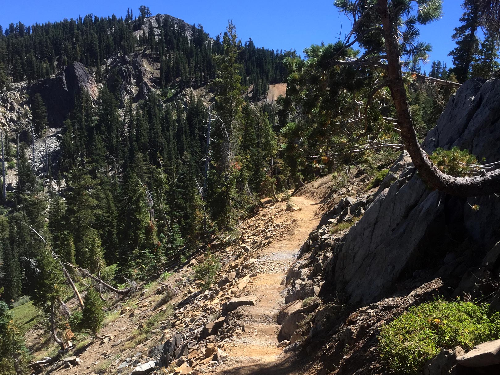 The new section of PCT in Sierra Buttes and Lakes Basin is fantastic. Photo by Conor Swift