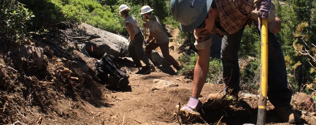 Building this new section of PCT involved multiple years of pulling roots and rocks out of the ground. Photo by Clare Major.