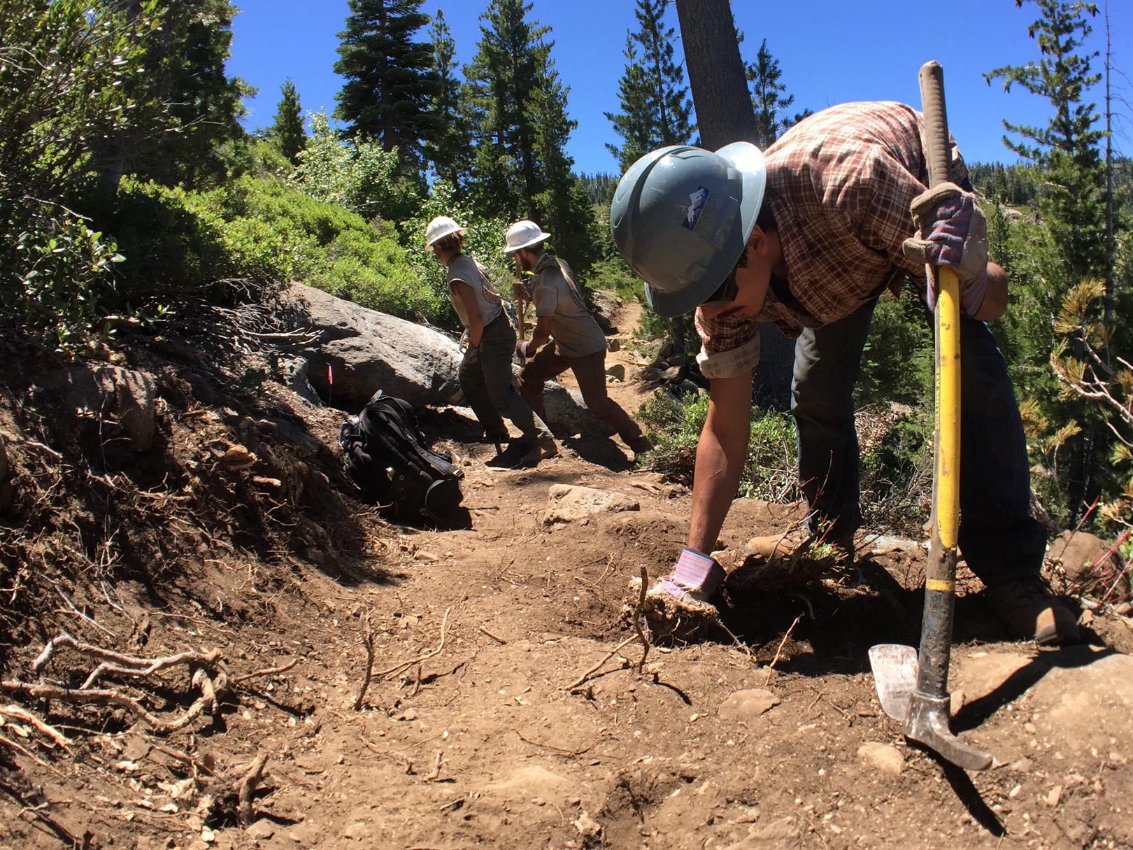 Building this new section of PCT involved multiple years of pulling roots and rocks out of the ground. Photo by Clare Major.