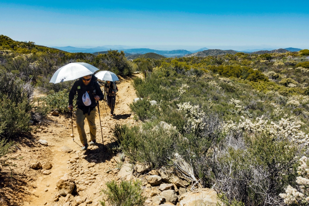 Hikers with umbrellas for shade under the blistering Southern California sun.