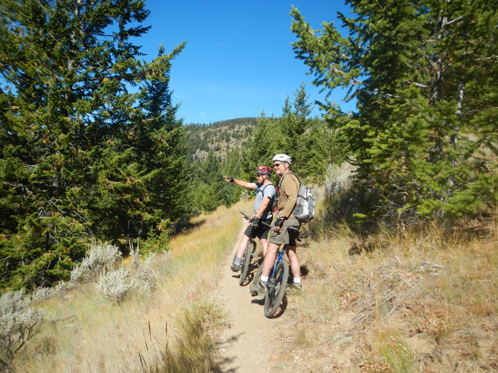 Mountain bikers are allowed on some non-wilderness sections of the Pacific ...