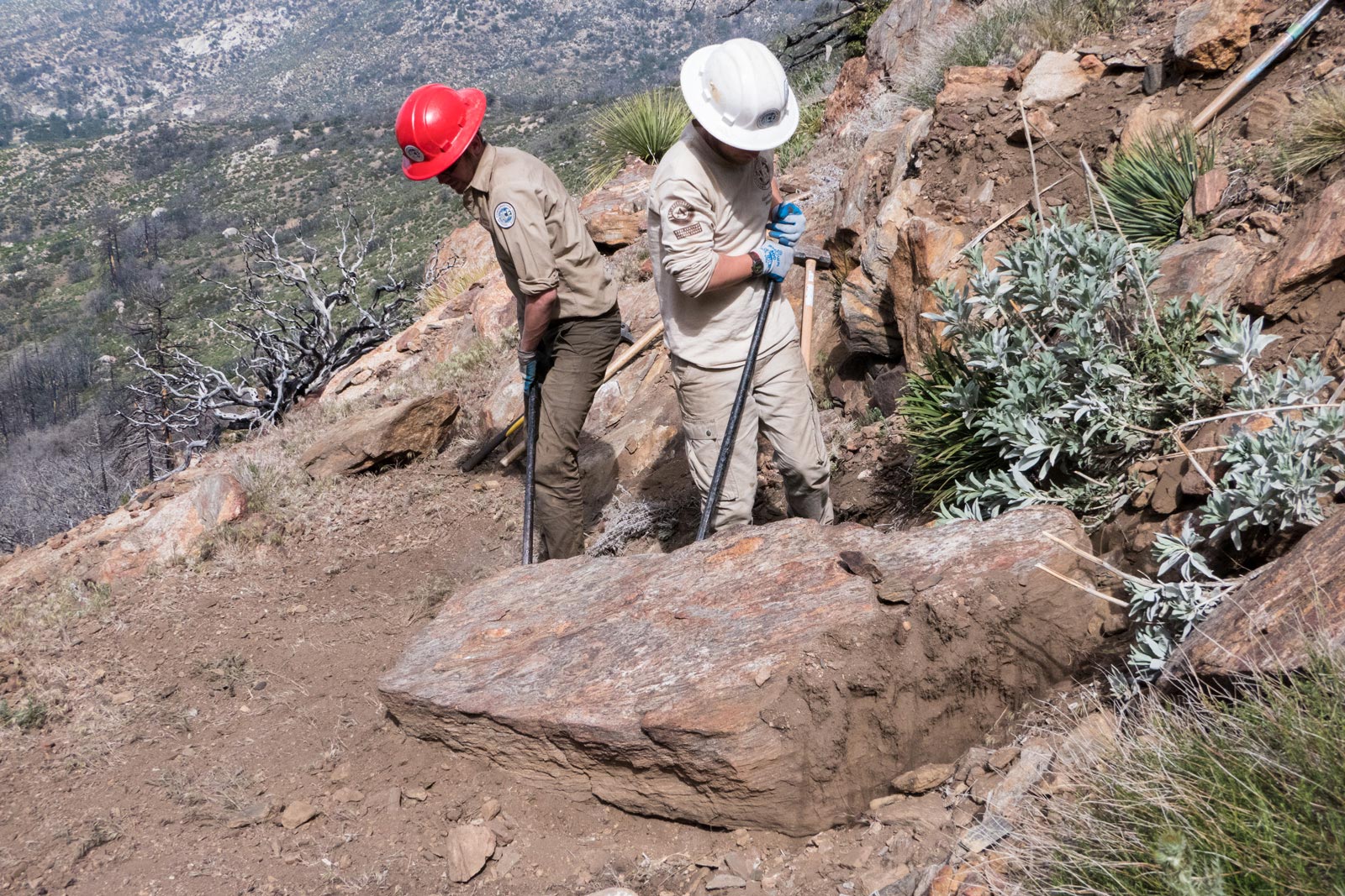 ACE crew members move a big boulder in the Mountain Fire burn area.
