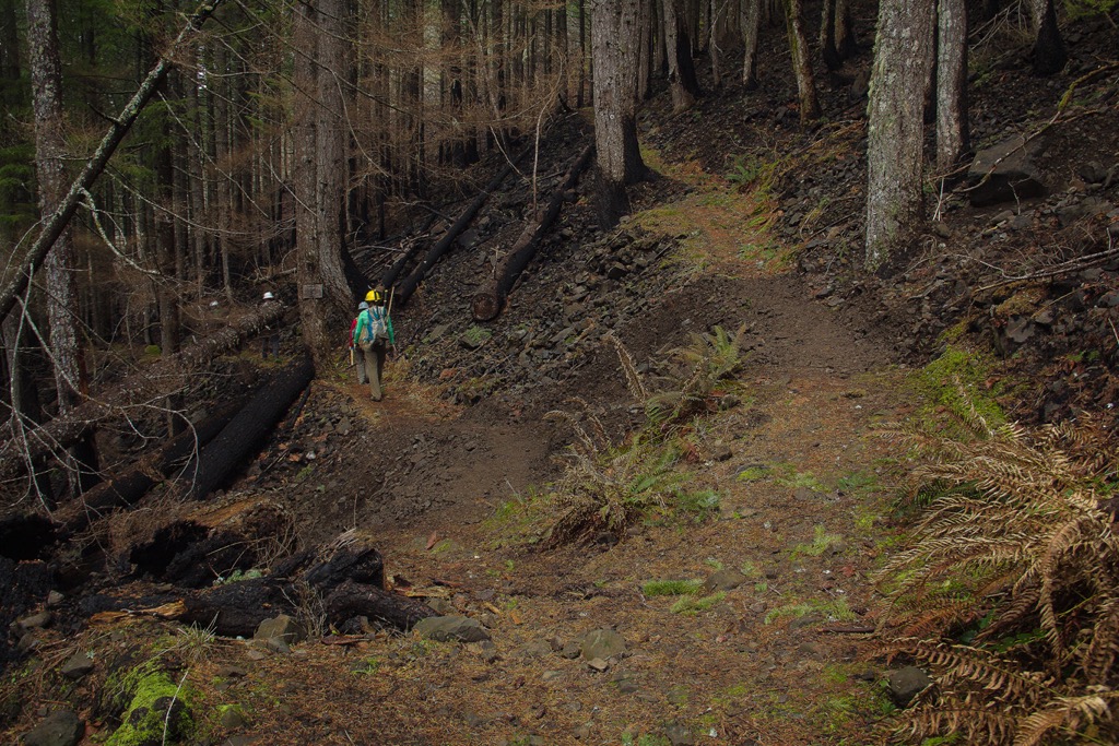 The PCT in the Columbia River Gorge could open soon - Pacific Crest Trail  Association