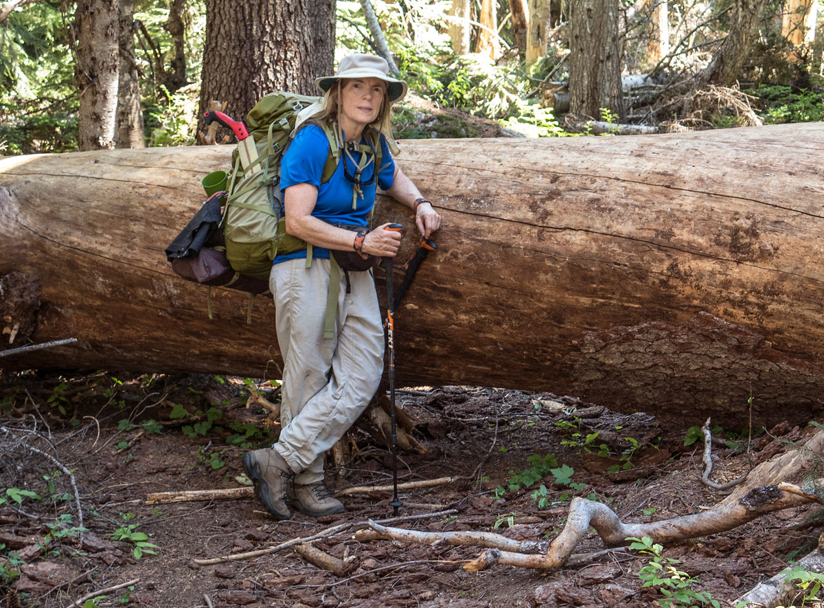 The small handsaw in this volunteer's backpack is useful for tackling brushing and clearing smaller logs from the trail. For this log... we're going to need a bigger saw! Photo by Loren Schmidt.  