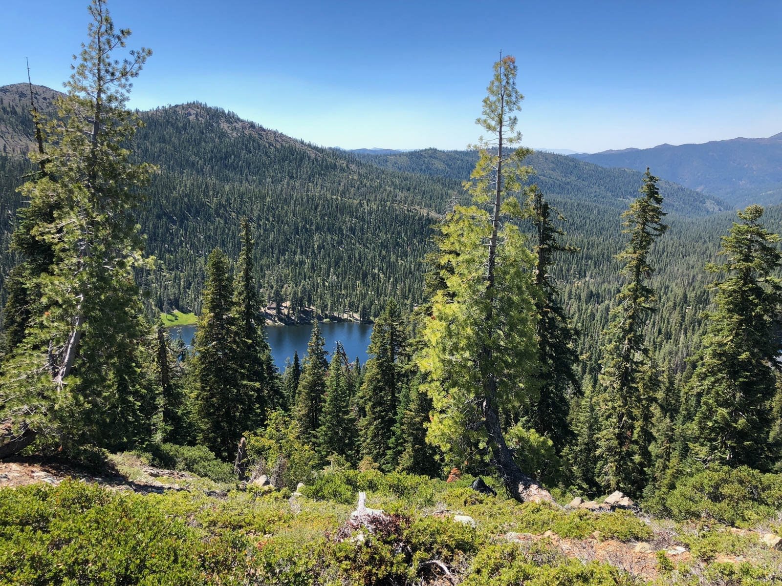 Protecting Picayune Lake and 1.2 Miles of the PCT Along the Trinity Divide 