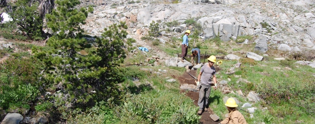 Trail volunteers work on a dirt trail with trees and rocks in the background