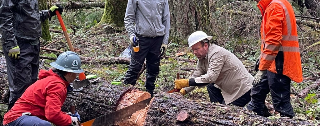 Two people use a crosscut saw while others observe