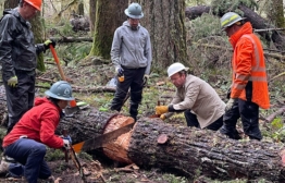 Two people use a crosscut saw while others observe