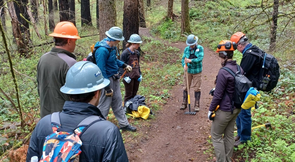 Volunteers wearing hard hats gather on a dirt trail in the forest