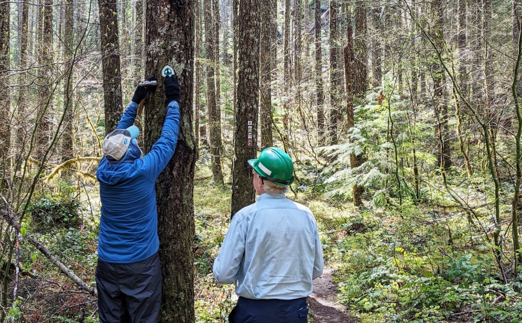 A person fixes a trail marker to a tree while another observes