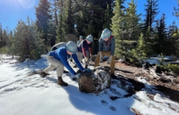 PCTA volunteers work together to move a rock in the snow